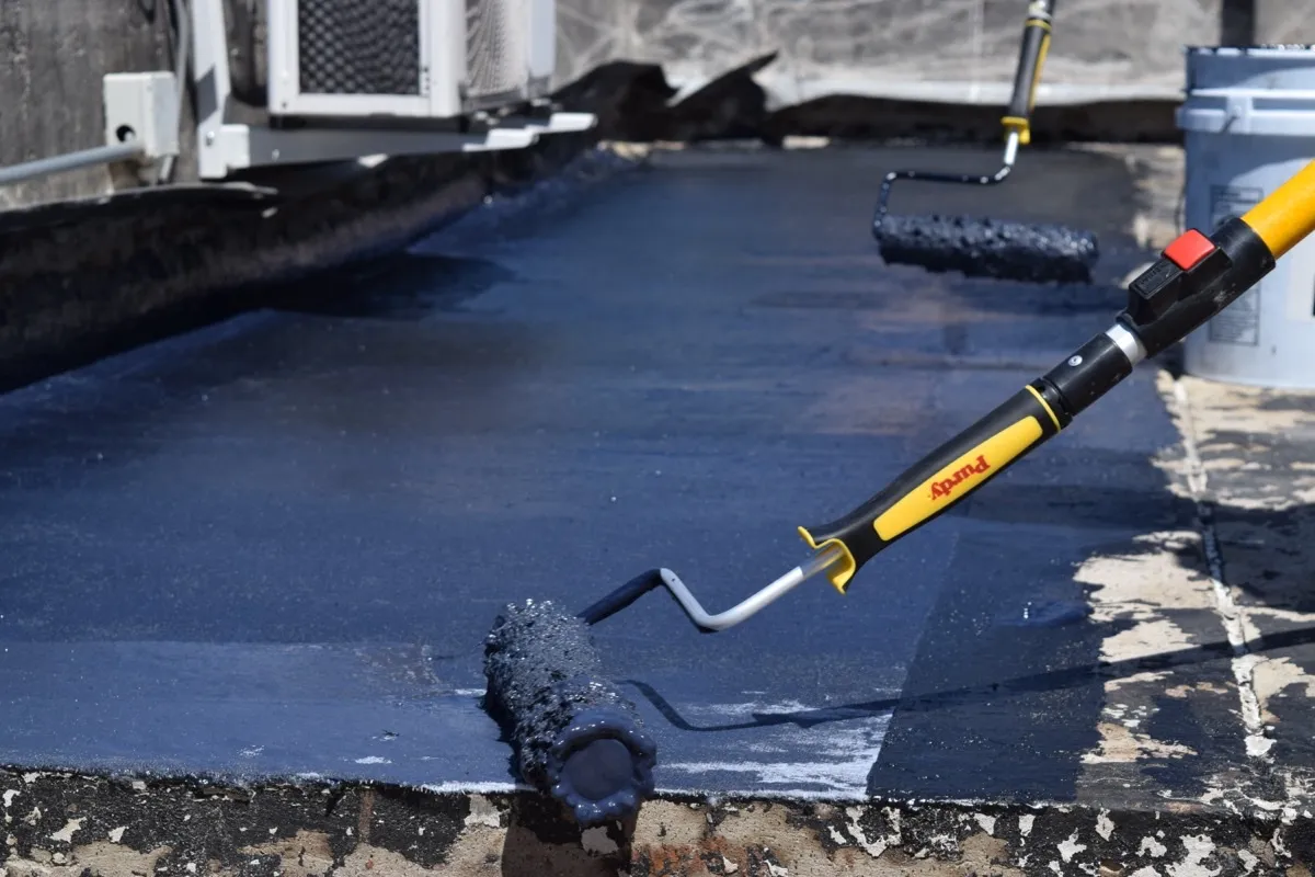 Proyecto AlligatorHide 6