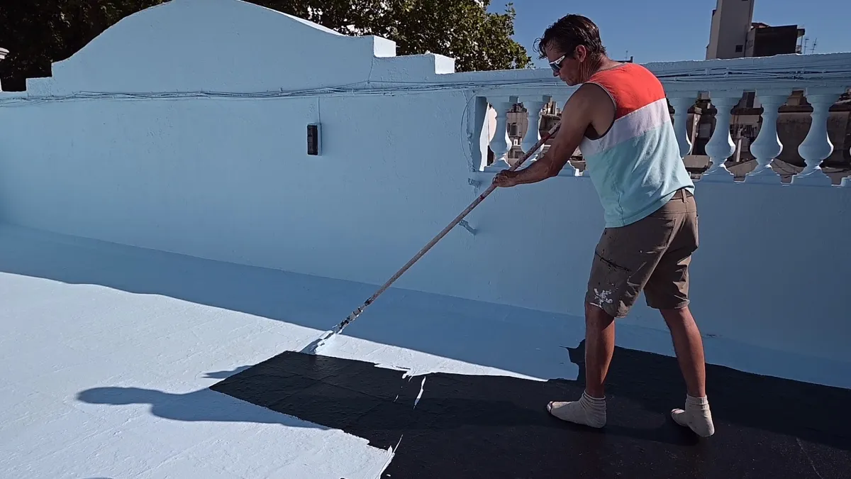 Proyecto AlligatorHide 15