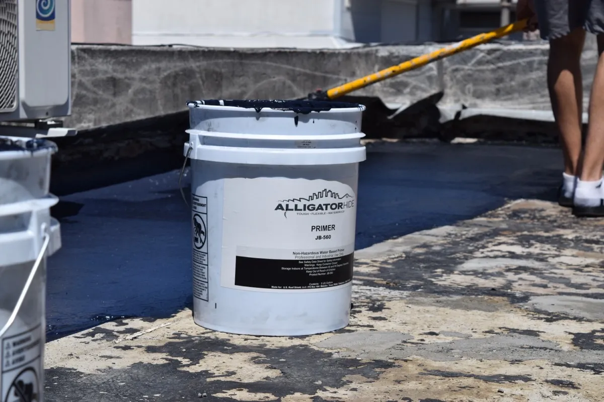 Proyecto AlligatorHide 5