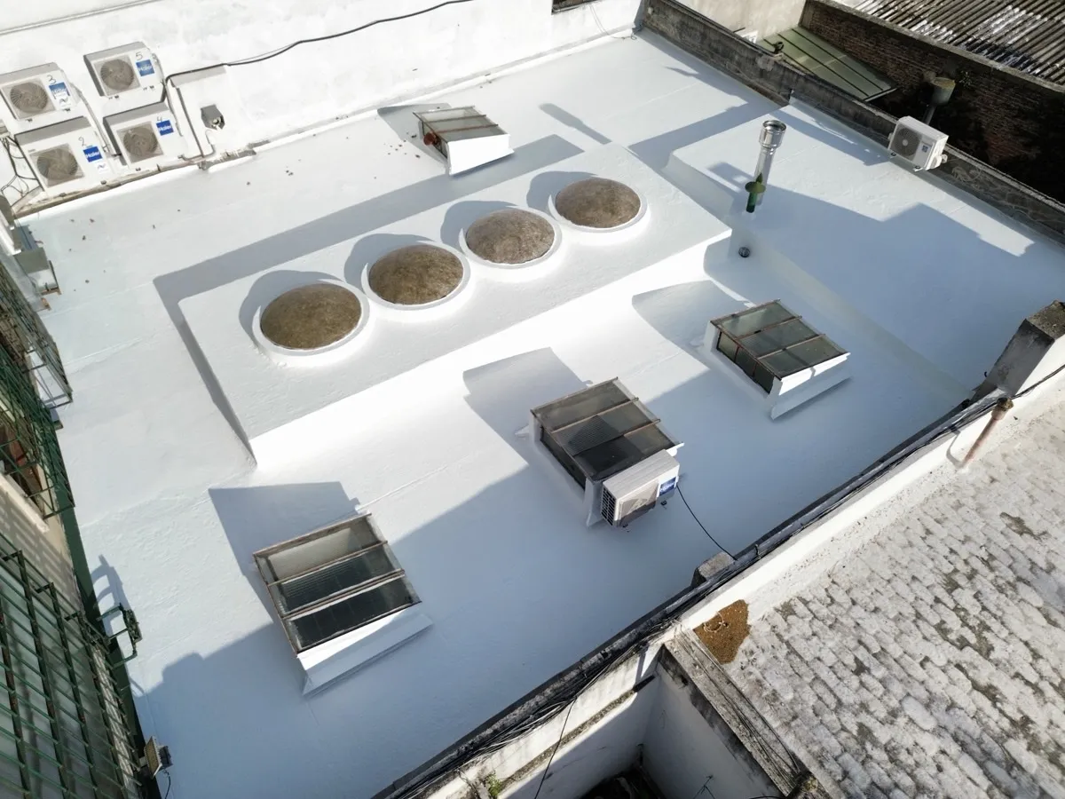 Proyecto AlligatorHide 24