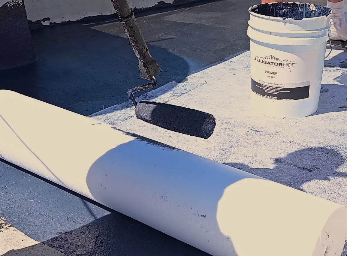 Proyecto AlligatorHide 10