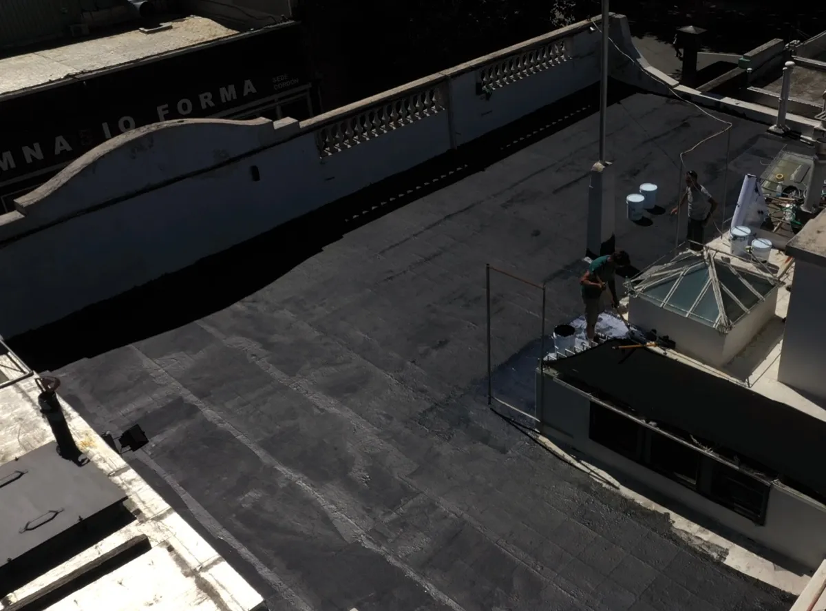 Proyecto AlligatorHide 16