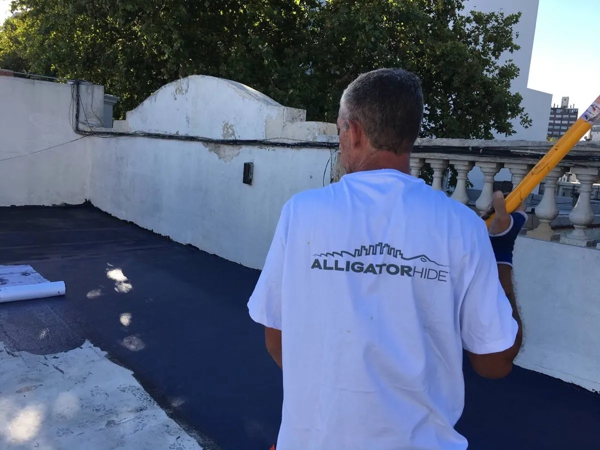 Proyecto AlligatorHide 4