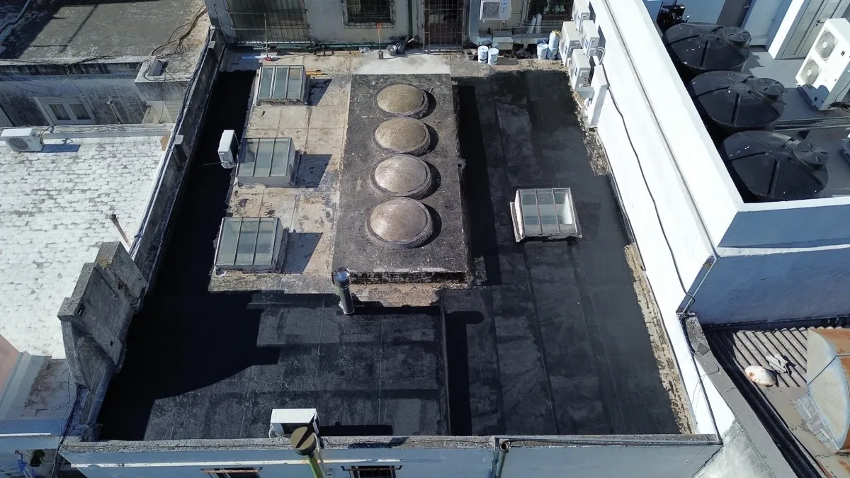 Proyecto AlligatorHide 19