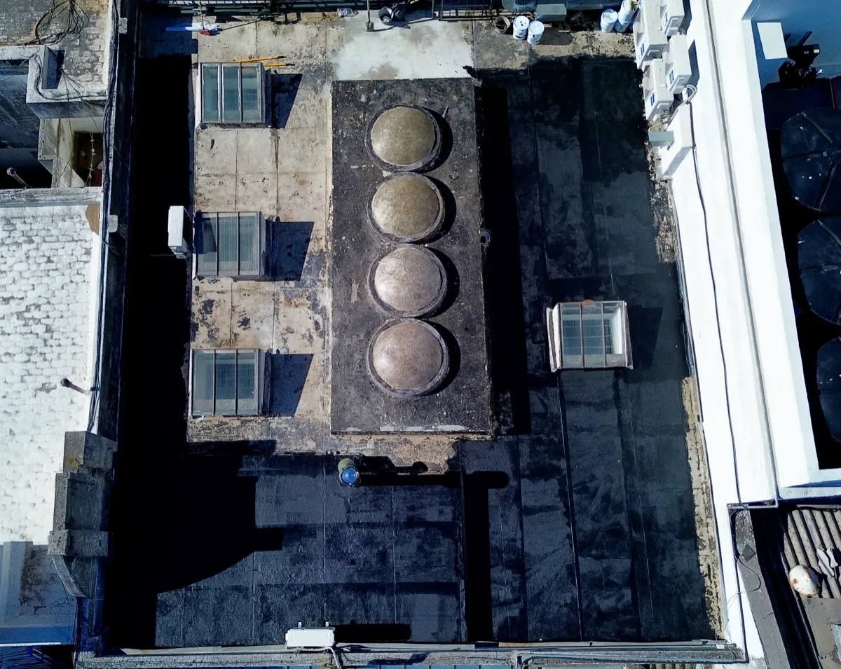 Proyecto AlligatorHide 20