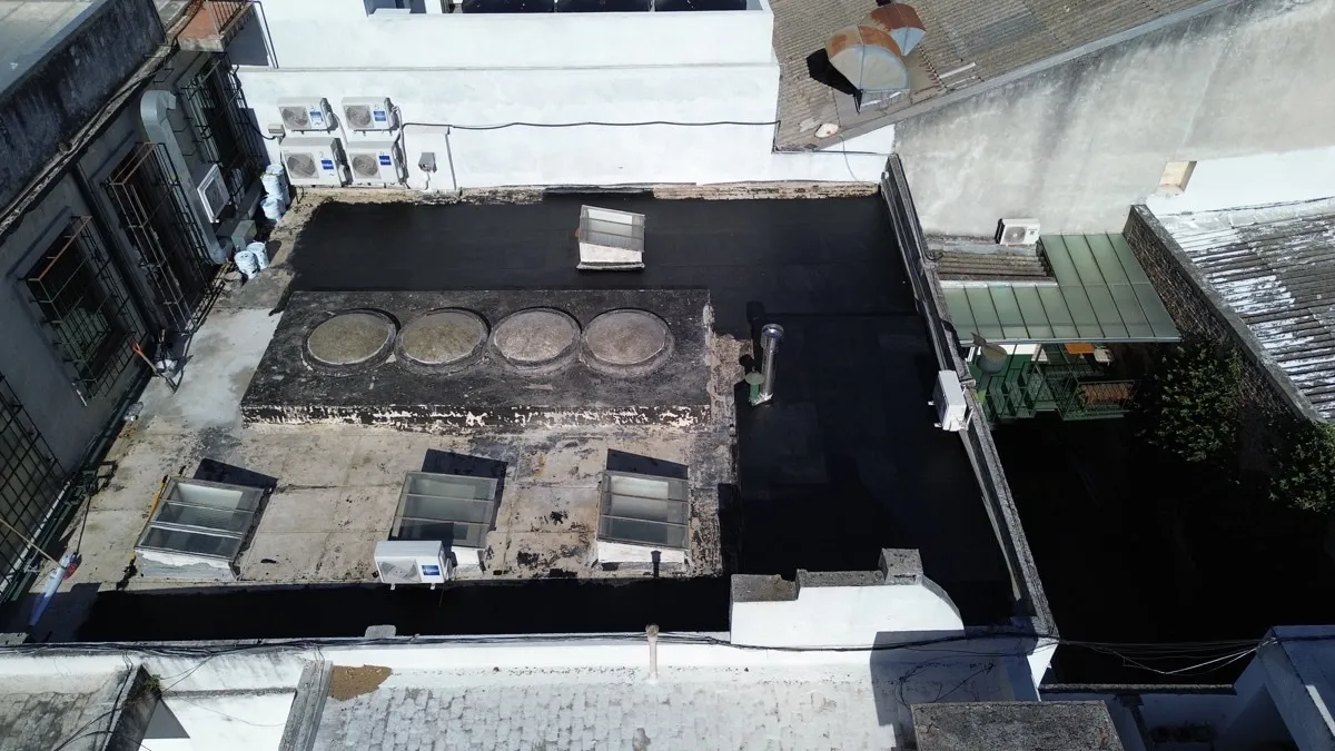 Proyecto AlligatorHide 18