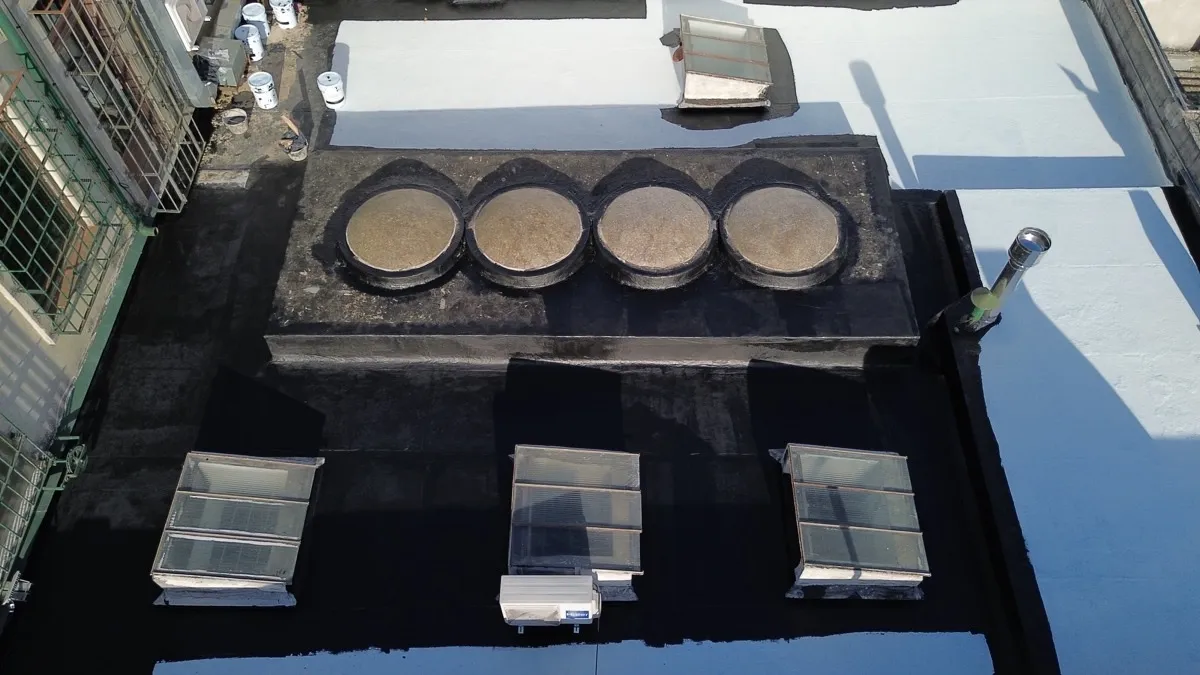 Proyecto AlligatorHide 22