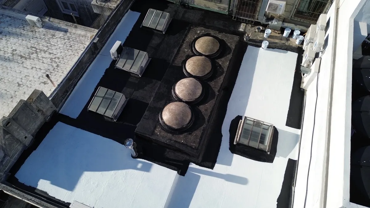 Proyecto AlligatorHide 21