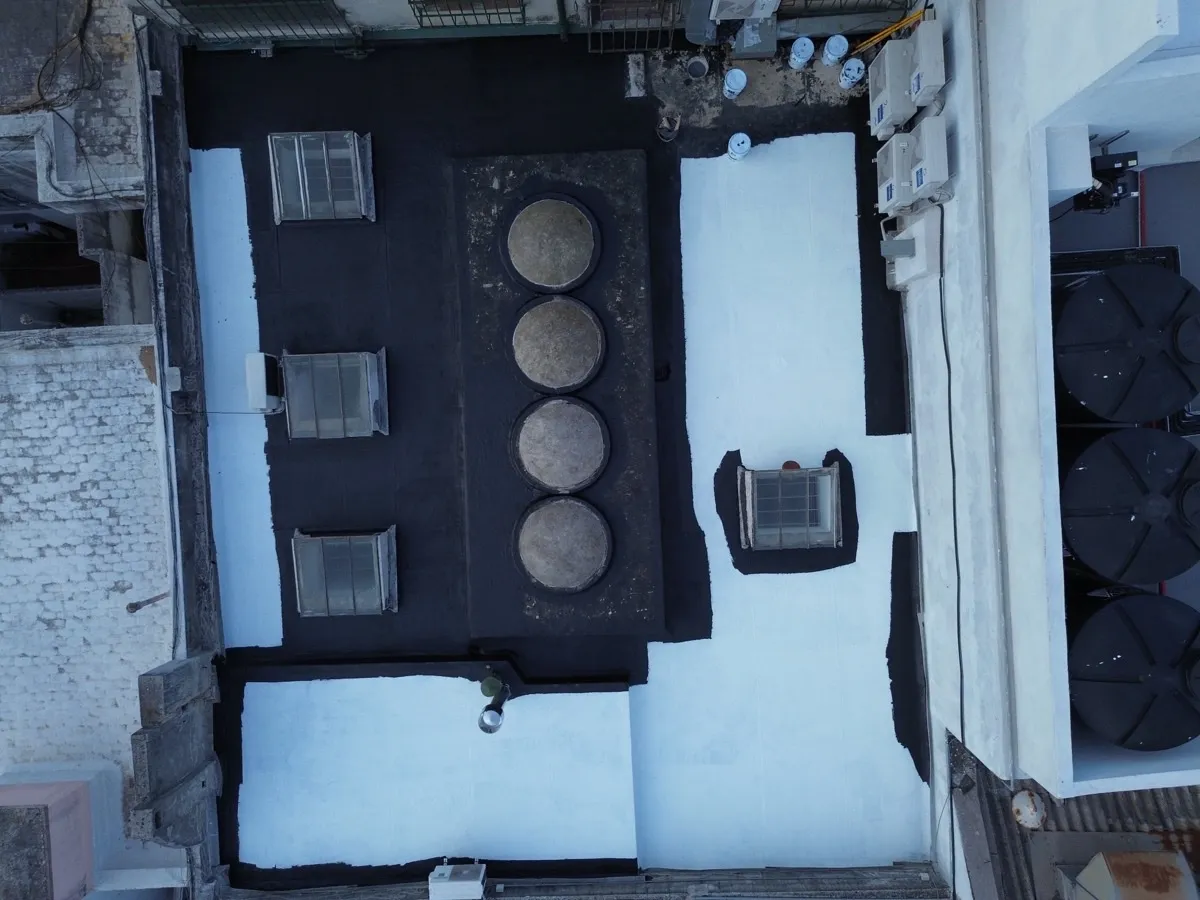 Proyecto AlligatorHide 23